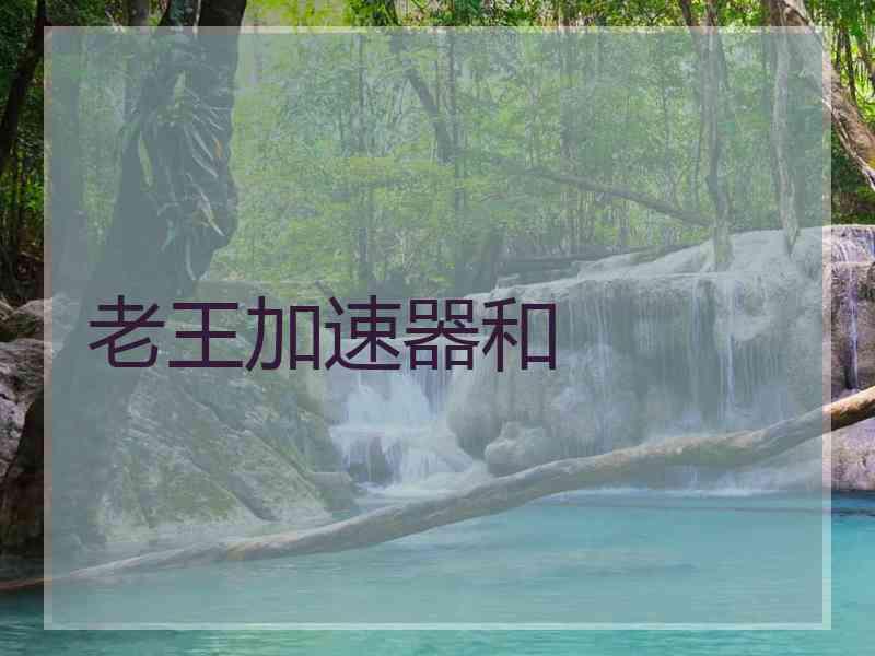 老王加速器和
