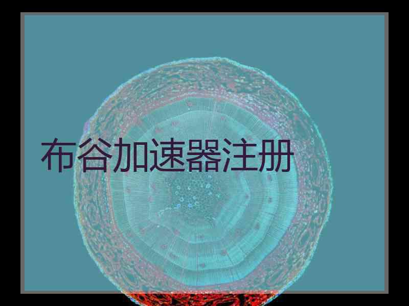 布谷加速器注册
