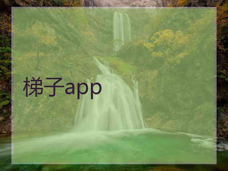 梯子app